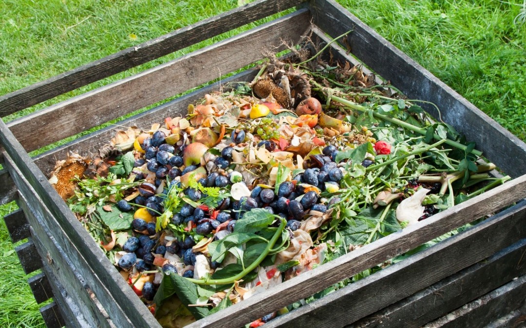 ¿Qué pasa dentro de una compostadora?