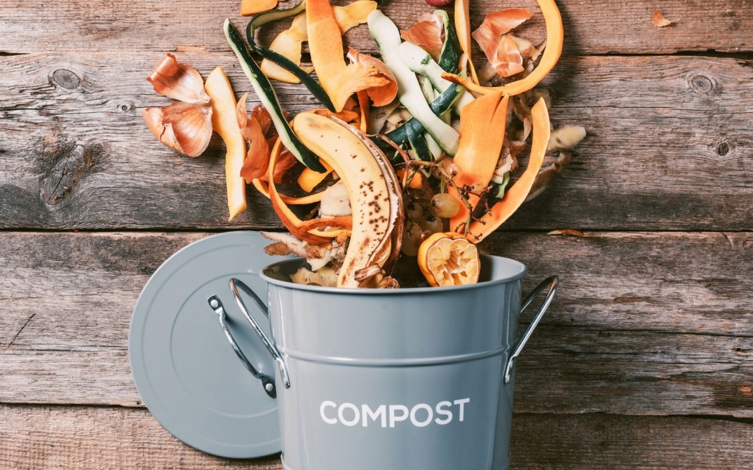 ¿Cómo fabricar compost?