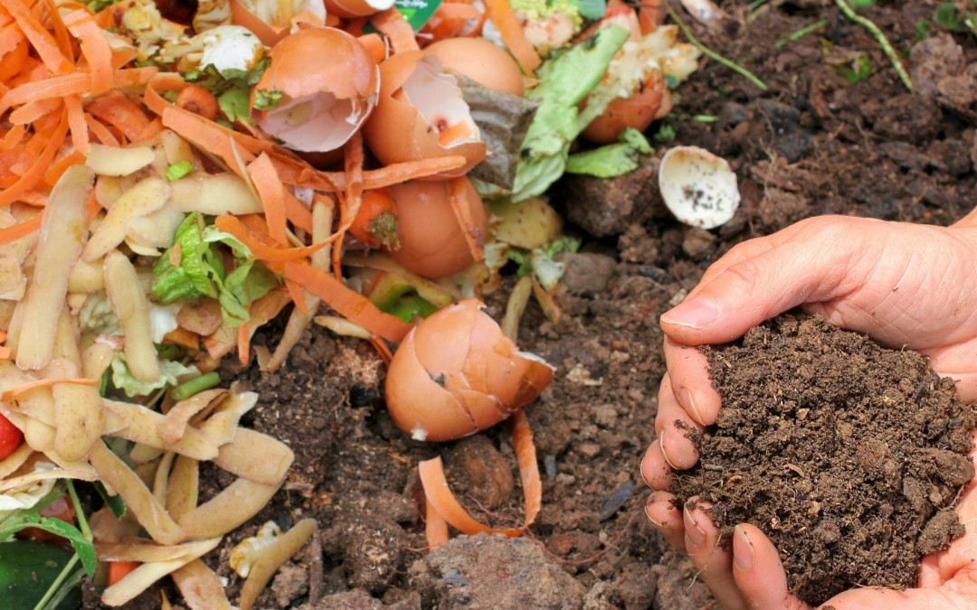 Beneficios del compost